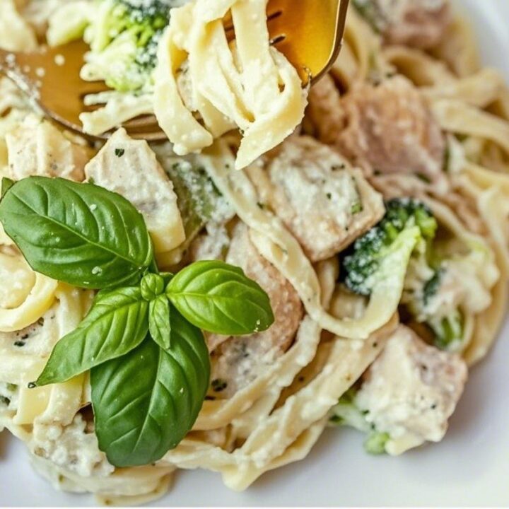 Creamy Chicken Alfredo Recipe